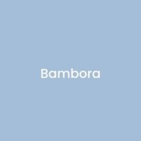 Bambora