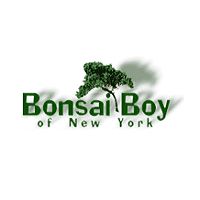Bonsai Boy of New York