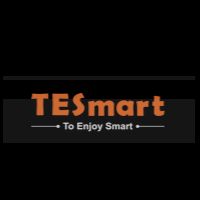 TESmart