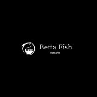 Thailand Betta Fish