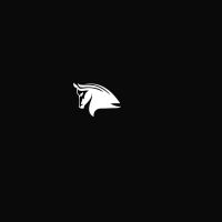 The Stampede Network