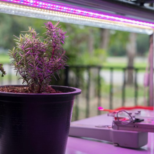 LetPot: The Smart Hydroponic System for Effortless Indoor Gardening