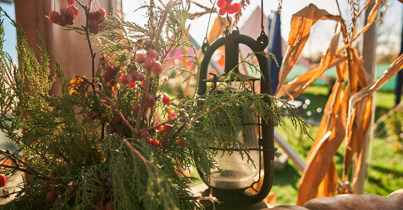 Gardenreet: Premium Brass Landscape Lighting for Lifelong Ambience