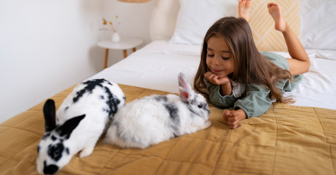 FXW: Flexible, Durable Playpens for Happy, Safe Pets