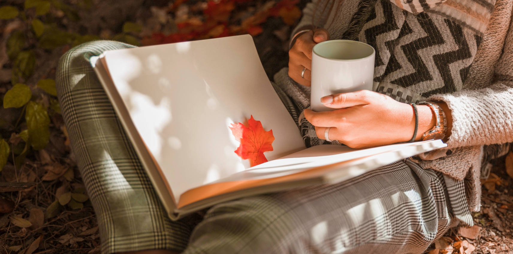 Fall in Love with Journaling Again—Explore DG Journals