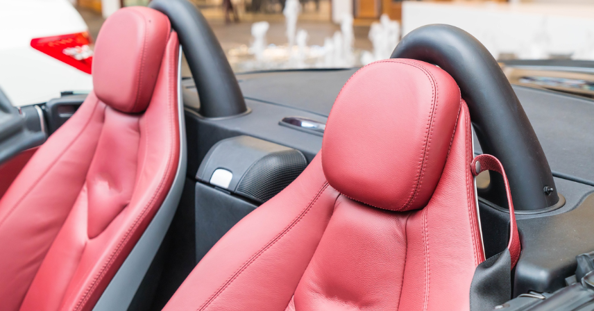 Best Seal Skin Covers for Car Seat Protection