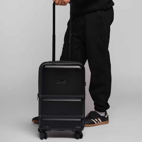 Companion Luggage Bag