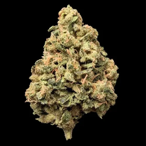 Banana Punch THCA Flower